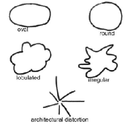 \includegraphics[width=5.5 cm]{images/mass_shapes.eps}