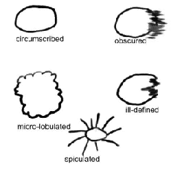 \includegraphics[width=5.5 cm]{images/mass_margins.eps}