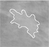 \includegraphics[width=3.5 cm]{images/massa2.eps}