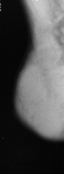 \includegraphics[height=3.5 cm]{images/b4.eps}