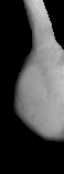 \includegraphics[height=3.5 cm]{images/b4_seg2.eps}