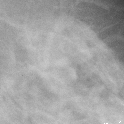 \includegraphics[height=2.75 cm]{images/cdb021ll.eps}