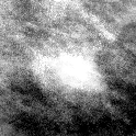 \includegraphics[height=2.75 cm]{images/eigauto1.eps}