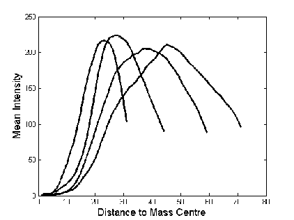 \includegraphics[height=7 cm]{images/templatesProfile.eps}