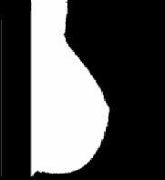 \includegraphics[width=4 cm]{images/segProfile3.eps}