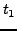 $t_{1}$